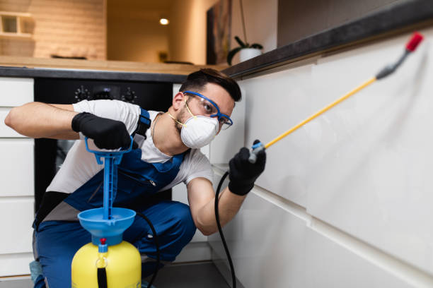 Best Emergency Pest Control  in Lees Summit, MO