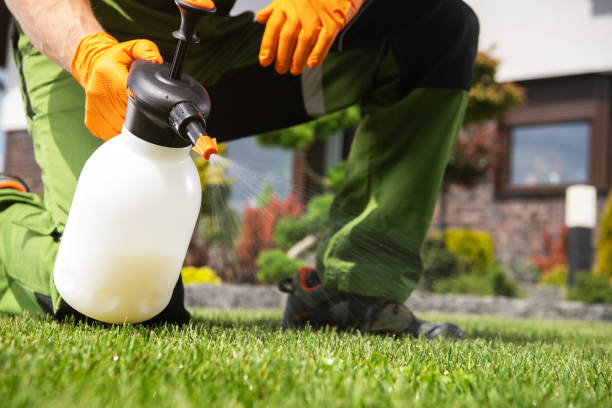 Reliable Lees Summit, MO Pest Control Solutions