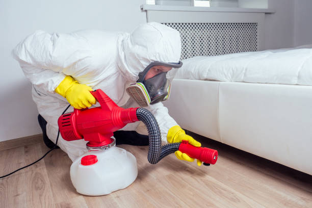 Best Local Pest Control Services  in Lees Summit, MO